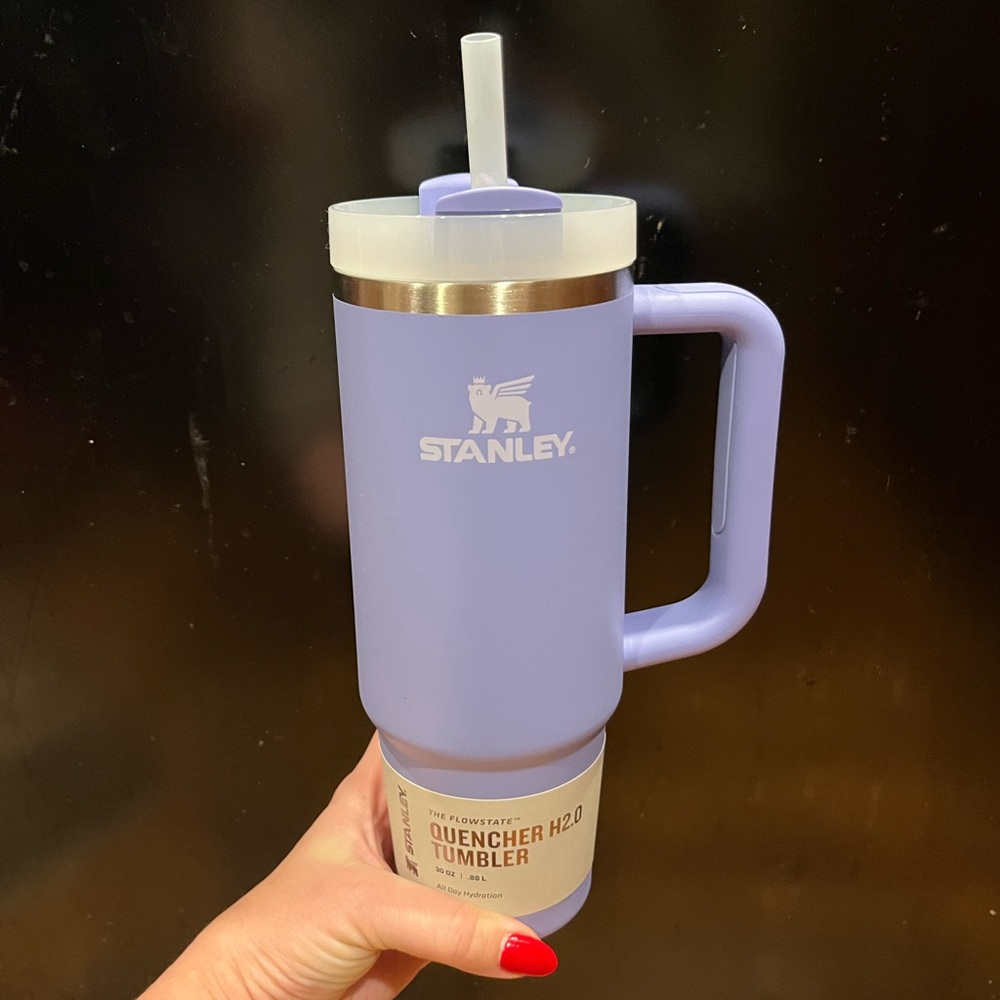 Stanley 30 Oz Tumbler